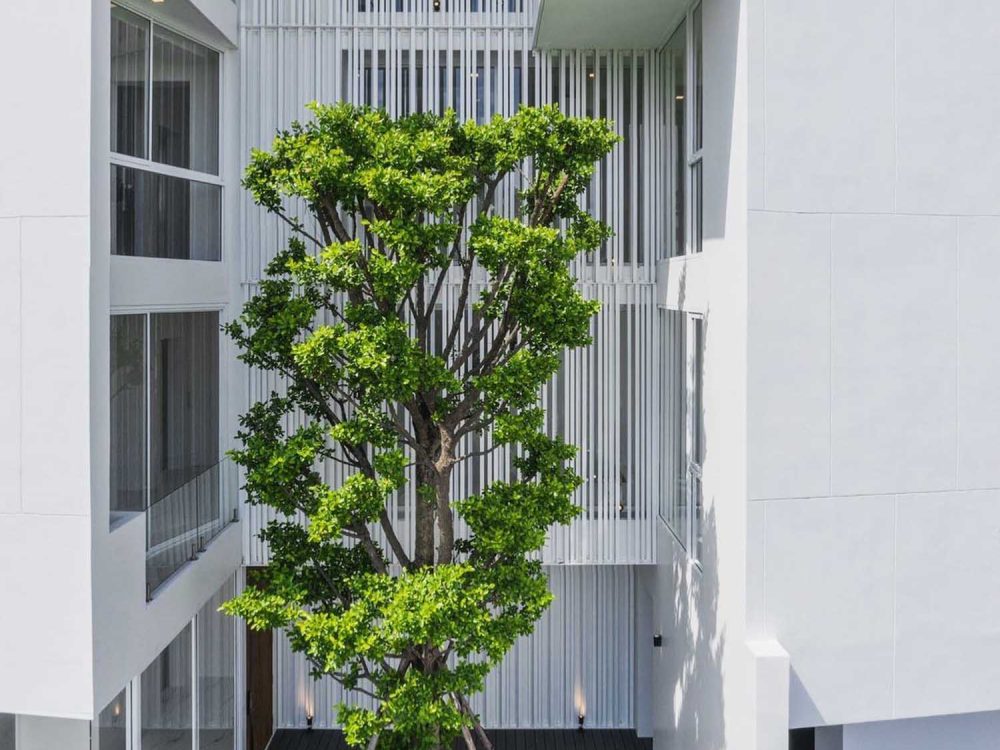 D8 Residence เอกมัย-รามอินทรา (7)